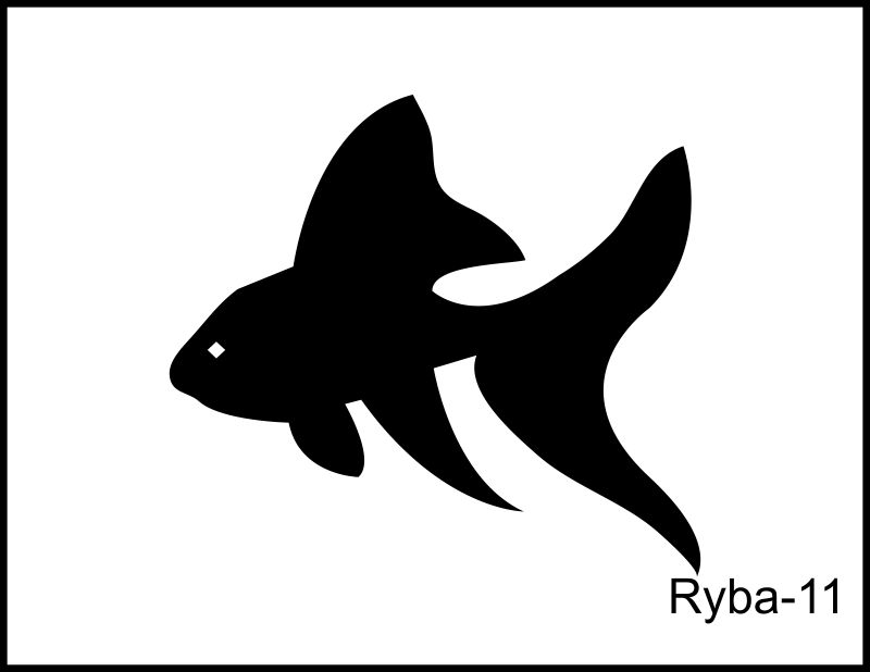 ryby 11